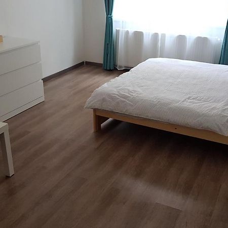 Apartman Pod Zamkem Дечин Екстер'єр фото
