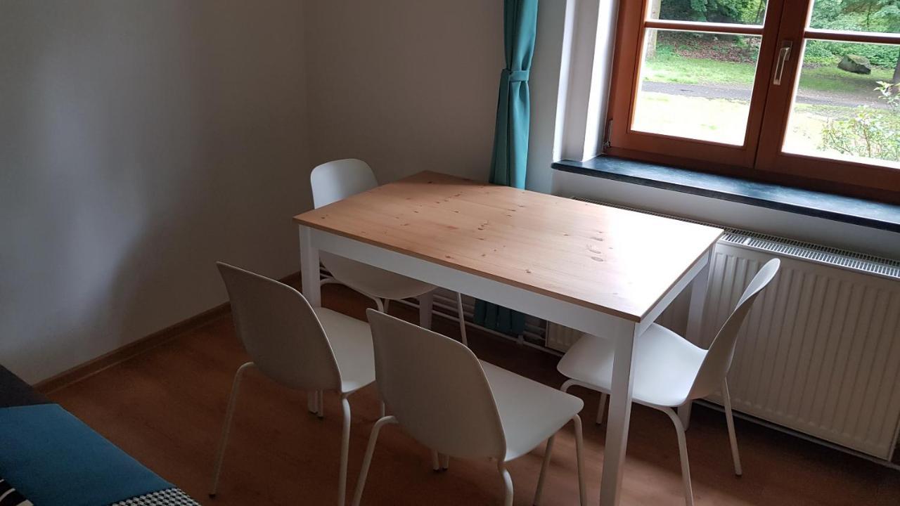 Apartman Pod Zamkem Дечин Екстер'єр фото