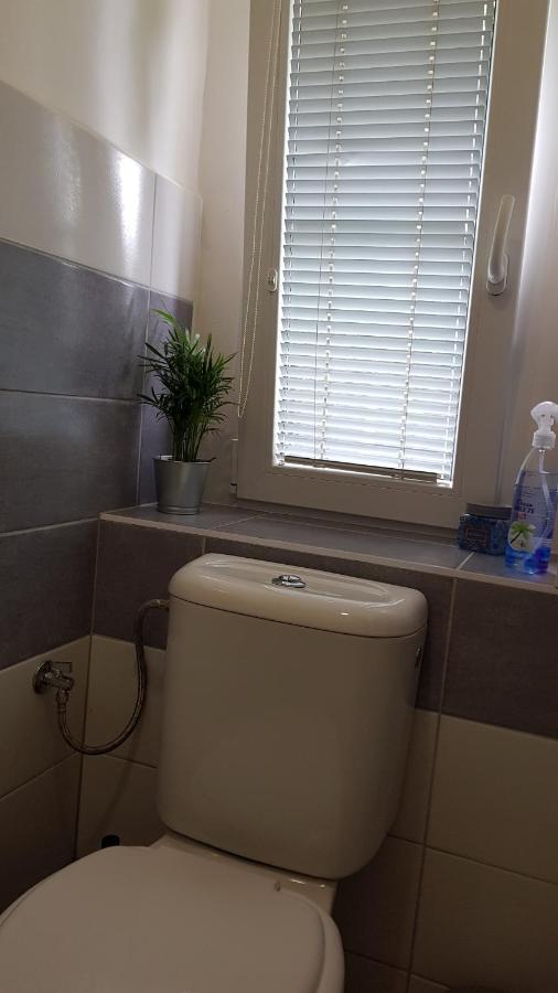 Apartman Pod Zamkem Дечин Екстер'єр фото