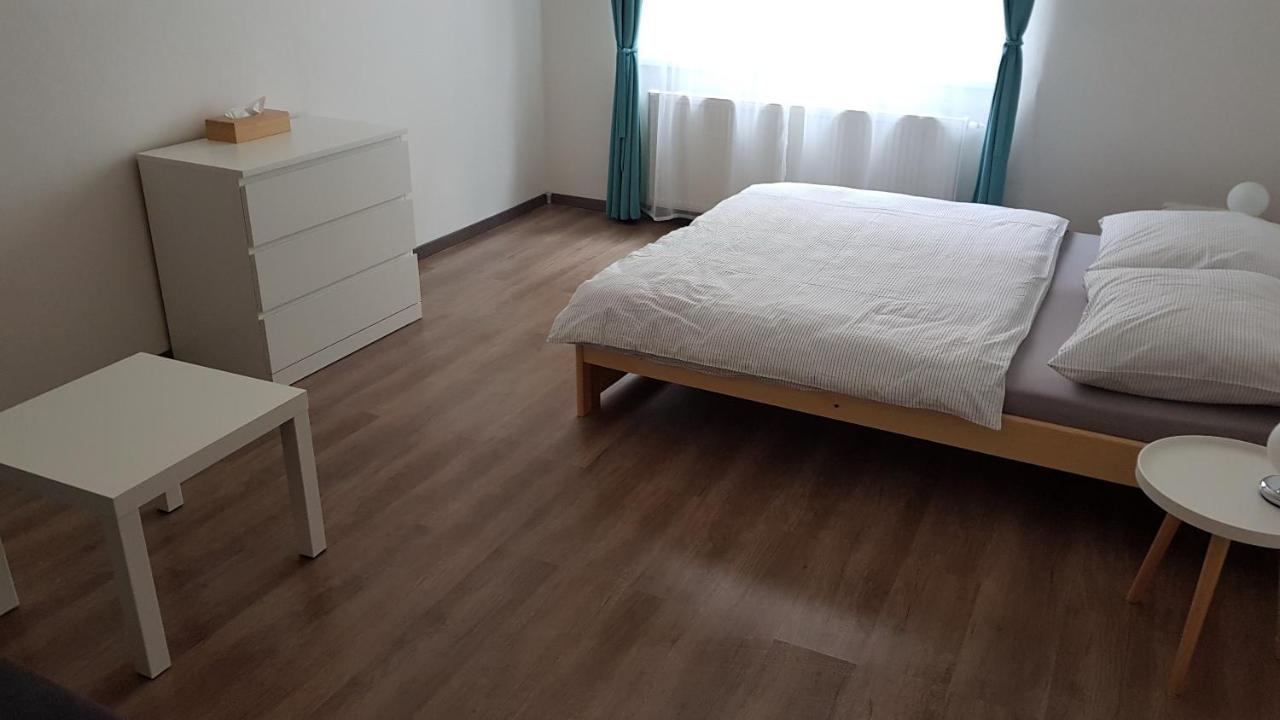 Apartman Pod Zamkem Дечин Екстер'єр фото